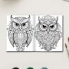 101-2-1 Owel coloring pages