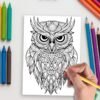 101-4-1 Owel coloring pages