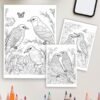 137-3-1 coloring pages