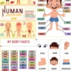 Inside-Me-Human-Body-Discovery-Printables-240-Pages-2 Inside-Me-Human-Body-Discovery-Printables