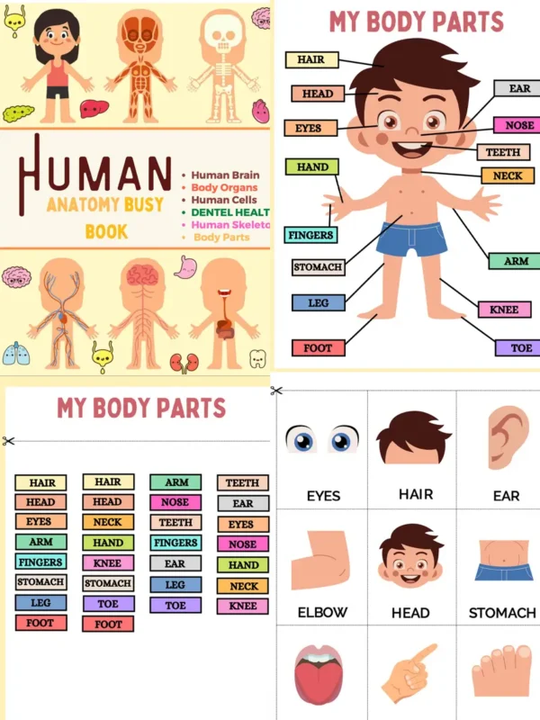 Inside-Me-Human-Body-Discovery-Printables-240-Pages-2 Inside-Me-Human-Body-Discovery-Printables