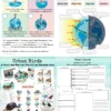 Mega science printable worksheets
