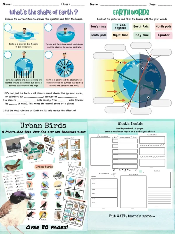Mega science printable worksheets